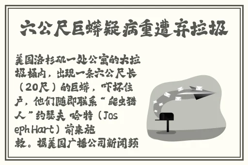 欧美videosgatsdo老妇